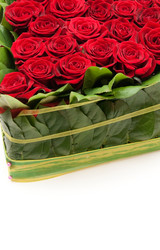 Similar image 1198475