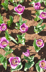 Similar image 1198479