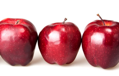 Similar image 1198483