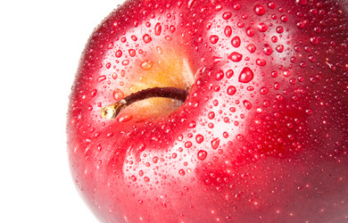 Similar image 1198485