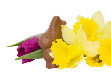 Similar image 1198496