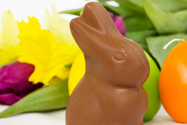 Similar image 1198500