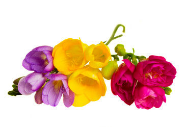 Similar image 1198503