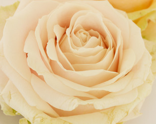 Similar image 1198504