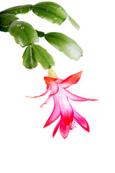 Similar image 1198641