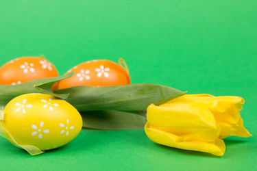 Similar image 1198649