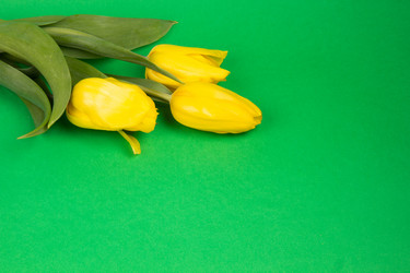 Similar image 1198726