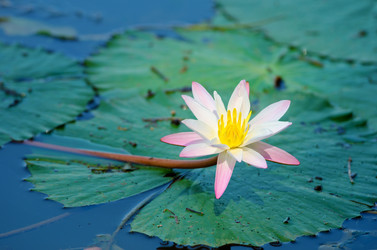 Similar image 1198730