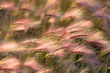 Similar image 1198770