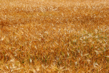 Similar image 1198777