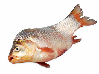 Similar image 1198800