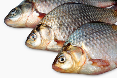 Similar image 1198801