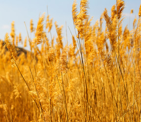 Similar image 1198806