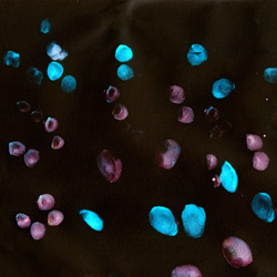 Similar image 1198819