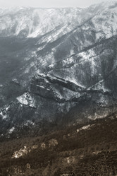 Similar image 1198820