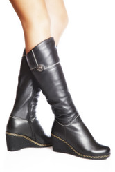 Similar image 1198825