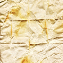 Similar image 1198830