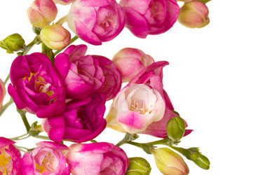 Similar image 1198903