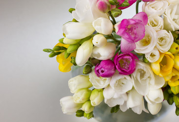 Similar image 1198904