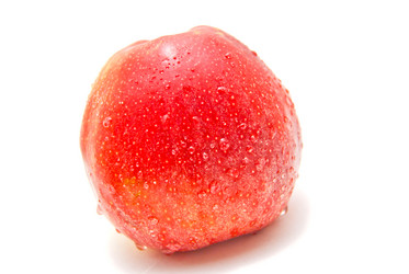 Similar image 1198924