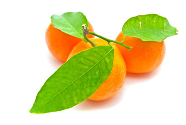 Similar image 1198949