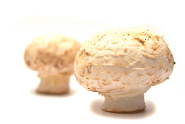 Similar image 1198974