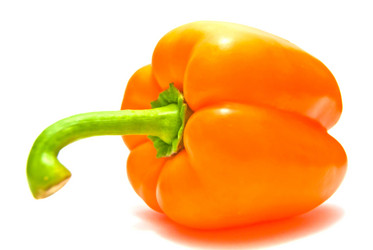 Similar image 1198976