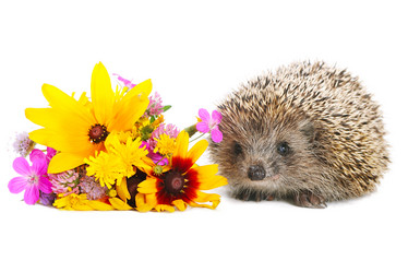 Similar image 1199142