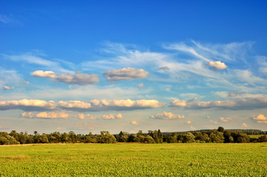 Similar image 1199163