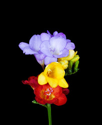 Similar image 1199292