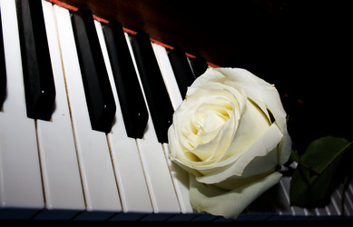 Similar image 1199296