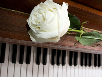 Similar image 1199297