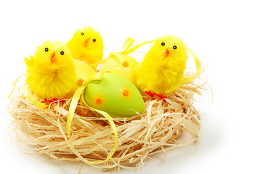 Similar image 1199336