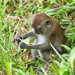 Similar image 1199403