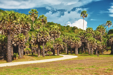 Similar image 1199413