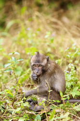 Similar image 1199462