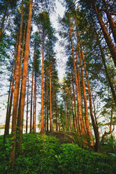 Similar image 1199484