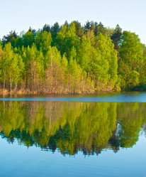 Similar image 1199519