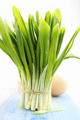 Similar image 1199568