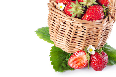 Similar image 1199622