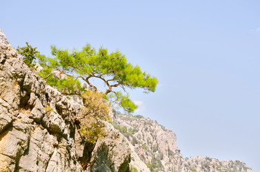 Similar image 1199623