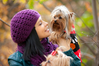 Similar image 1199660