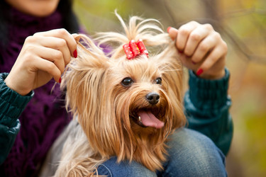 Similar image 1199661