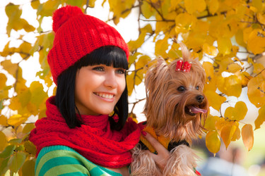 Similar image 1199684