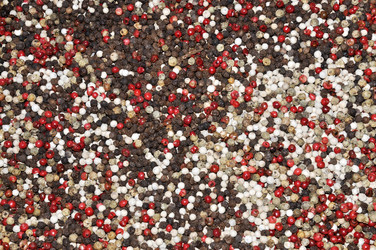 Similar image 1199702