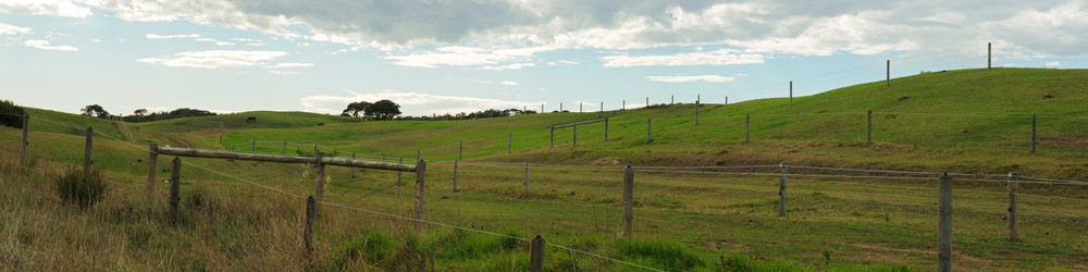 Similar image 1199729