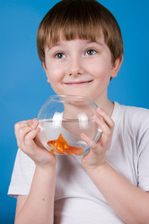 Similar image 1199748