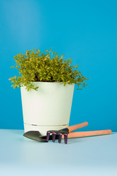 Similar image 1199751