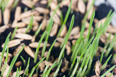 Similar image 1199757