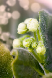 Similar image 1199758